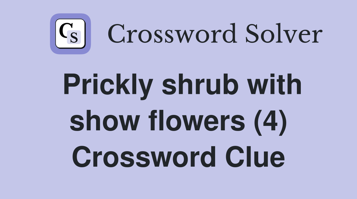 Prickly shrub with show flowers (4) Crossword Clue