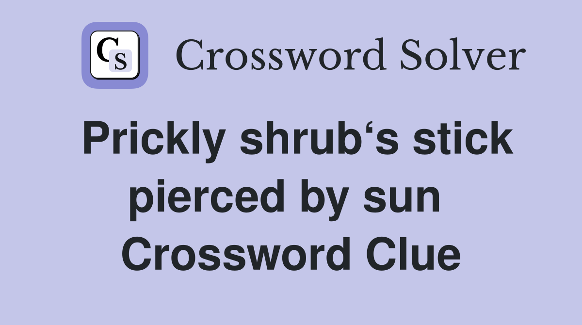 Prickly shrub‘s stick pierced by sun  Crossword Clue