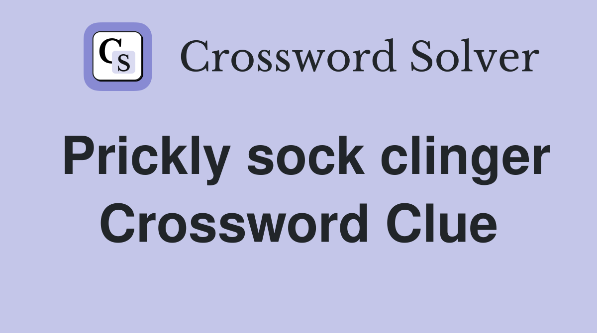 Prickly sock clinger Crossword Clue