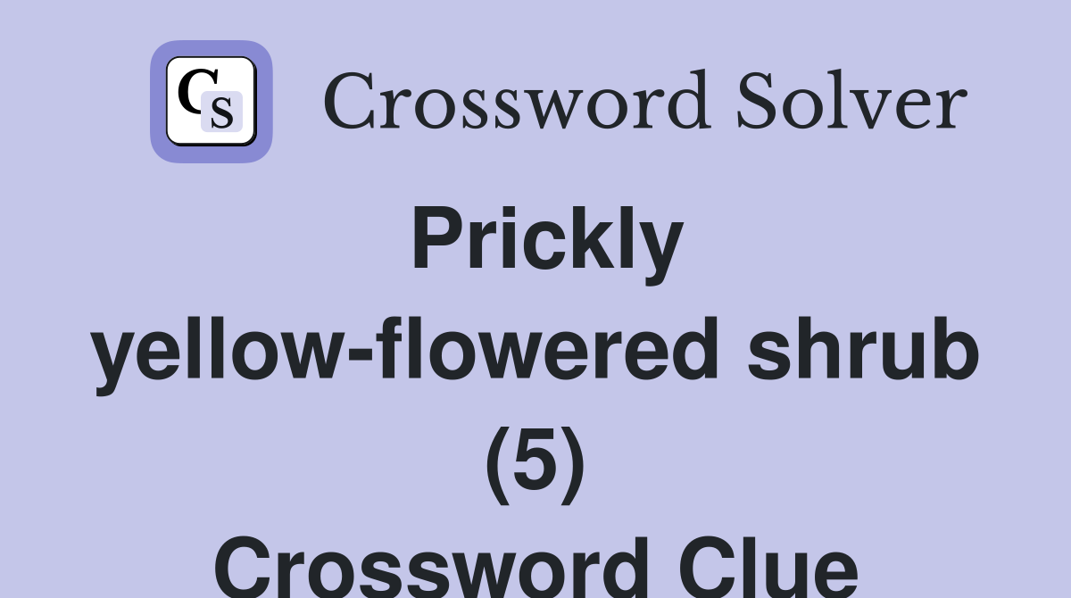 Prickly yellow-flowered shrub (5) Crossword Clue