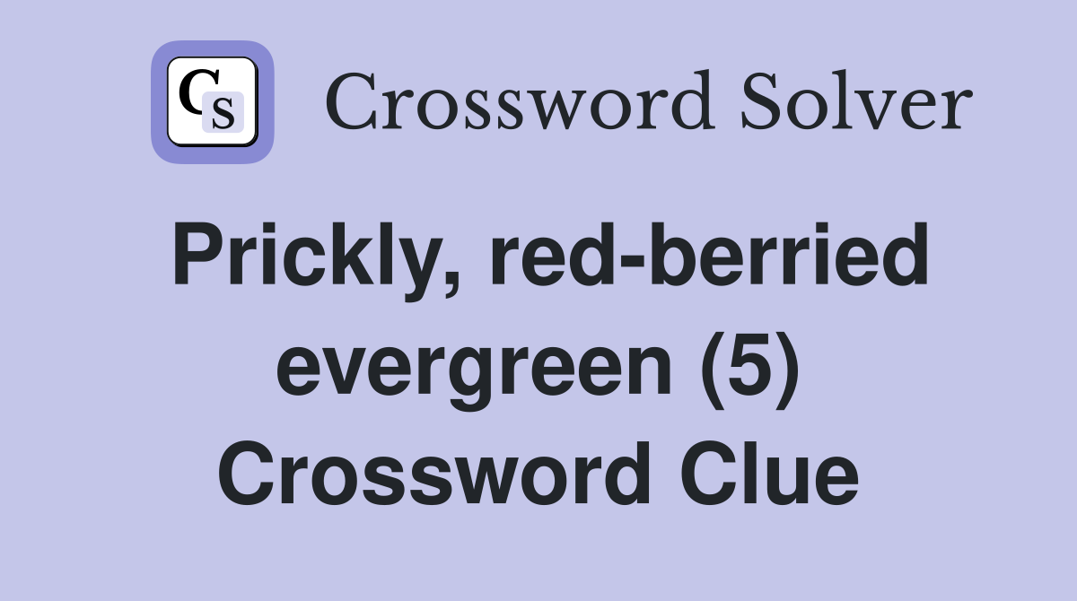 Prickly, red-berried evergreen (5) Crossword Clue