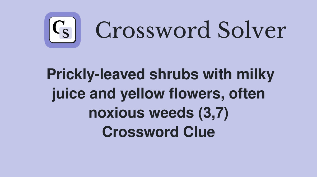 Prickly-leaved shrubs with milky juice and yellow flowers, often noxious weeds (3,7) Crossword Clue