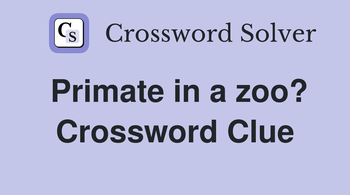 Primate in a zoo? Crossword Clue