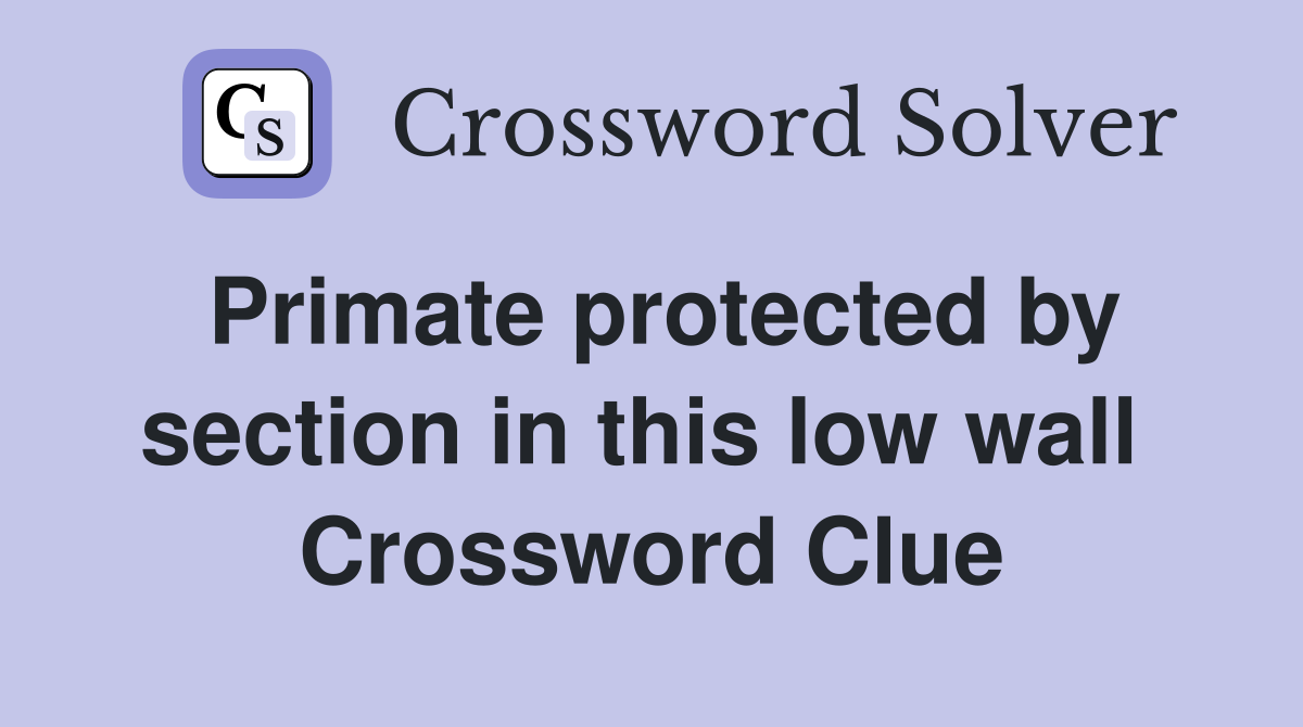 Primate protected by section in this low wall  Crossword Clue