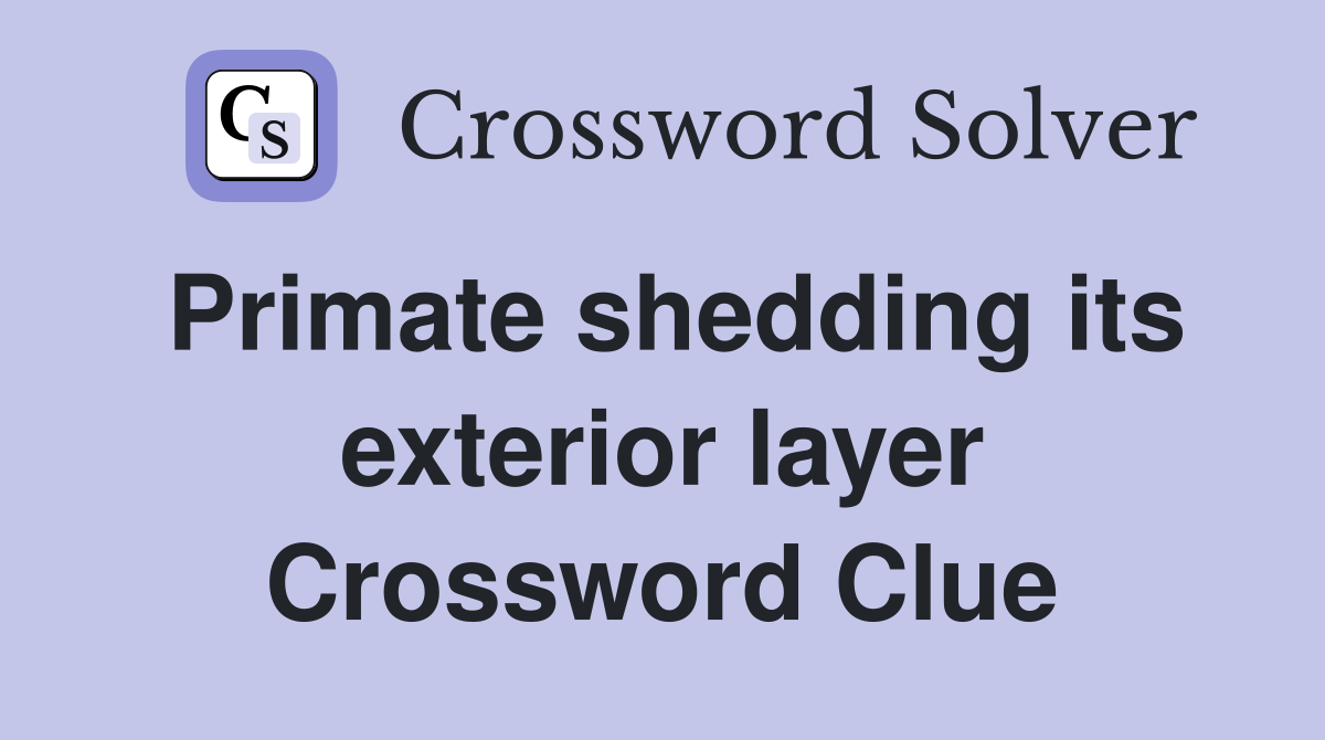 Primate shedding its exterior layer Crossword Clue