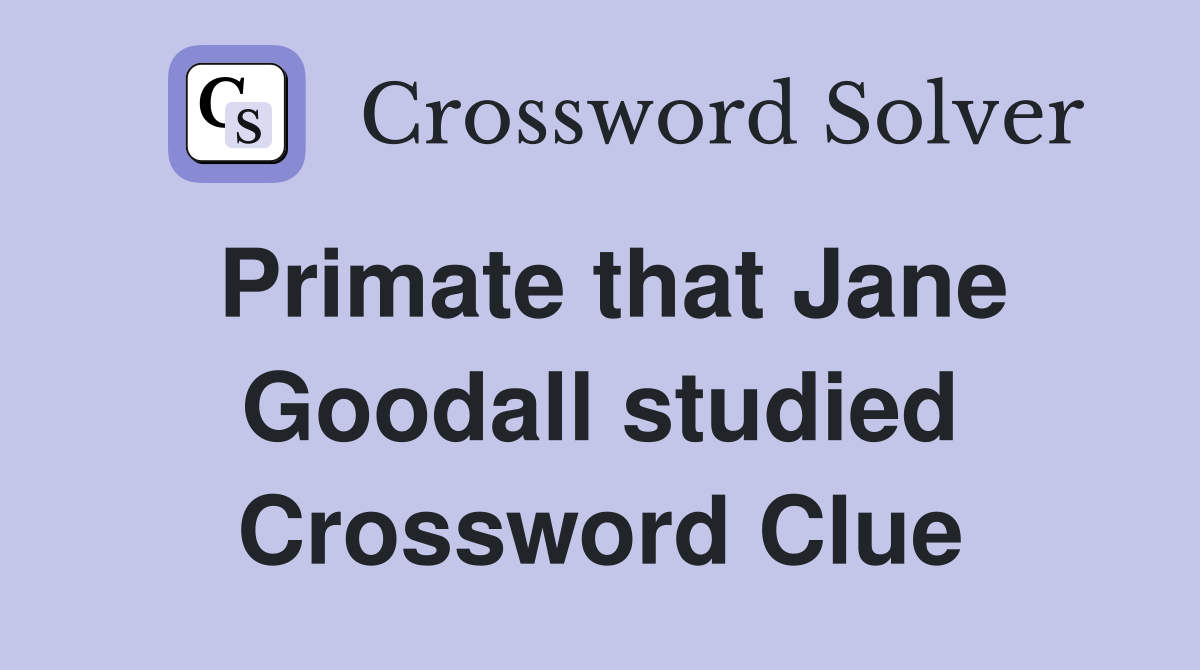 Primate that Jane Goodall studied Crossword Clue