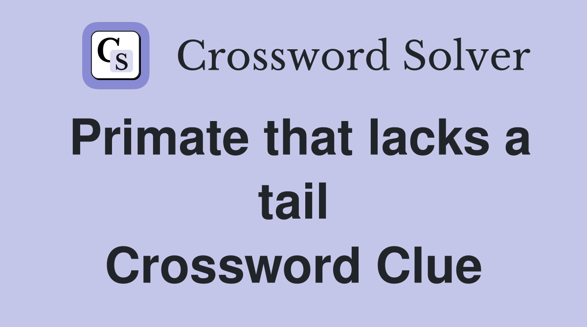 Primate that lacks a tail Crossword Clue