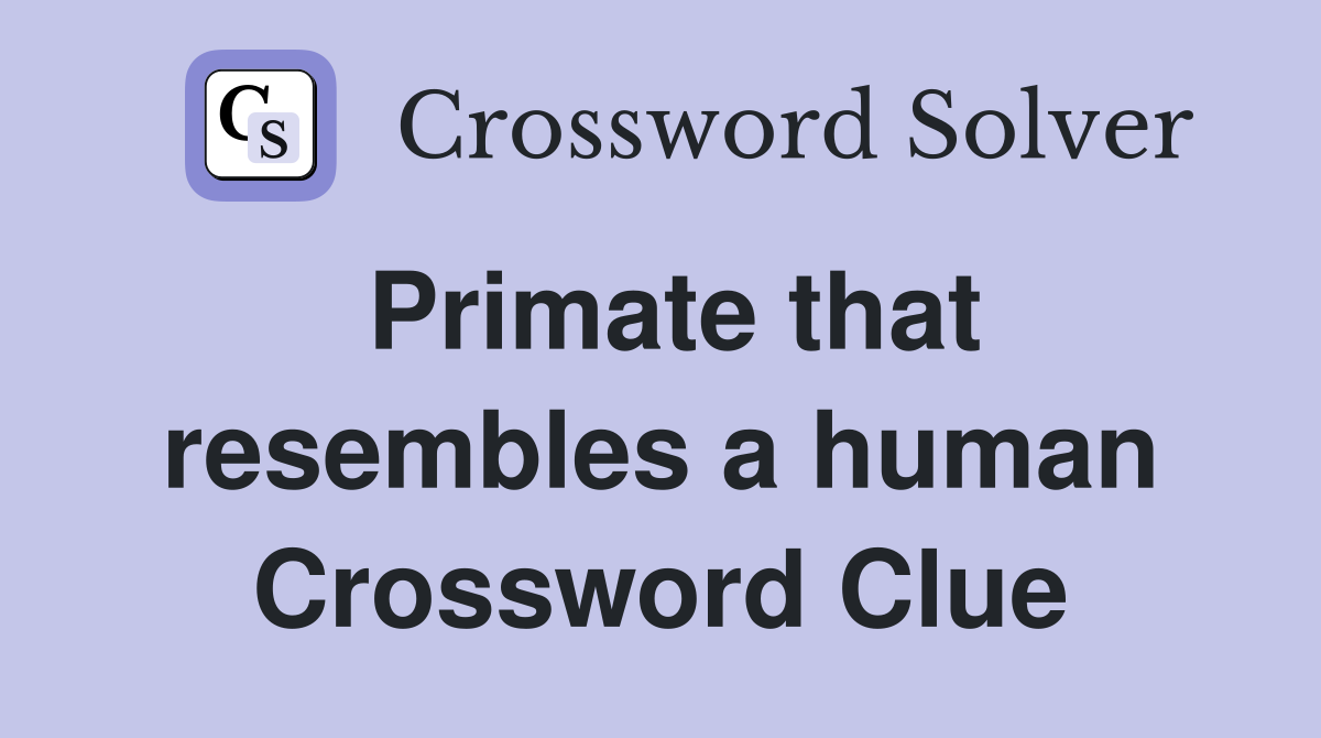 Primate that resembles a human Crossword Clue