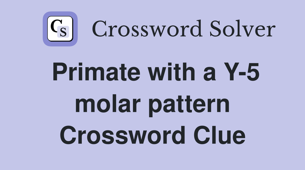 Primate with a Y-5 molar pattern Crossword Clue
