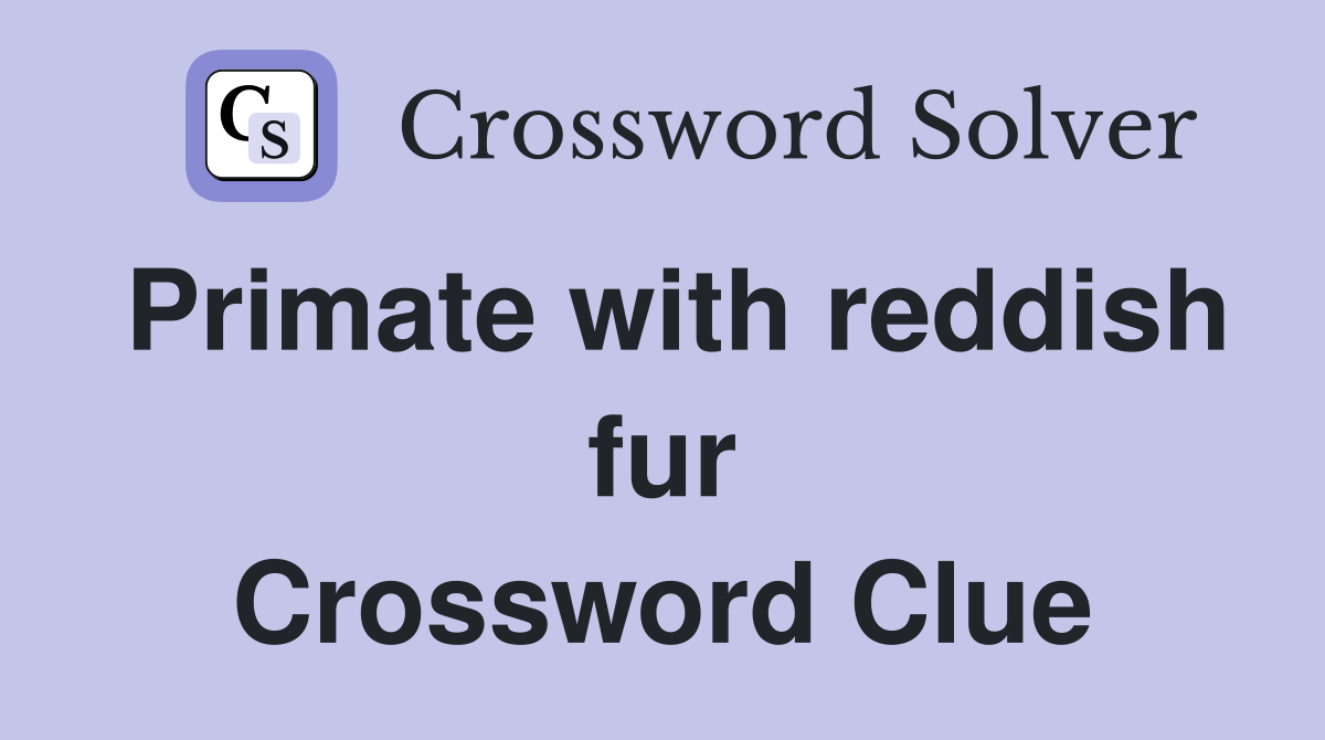 Primate with reddish fur Crossword Clue