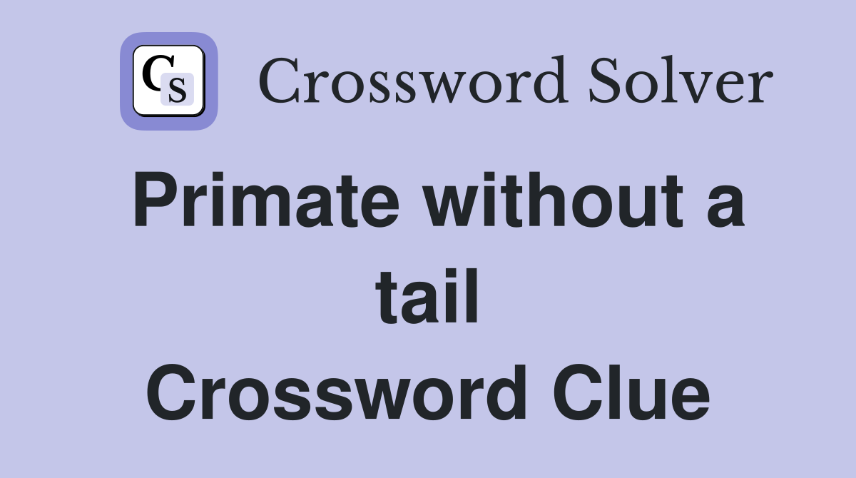 Primate without a tail Crossword Clue