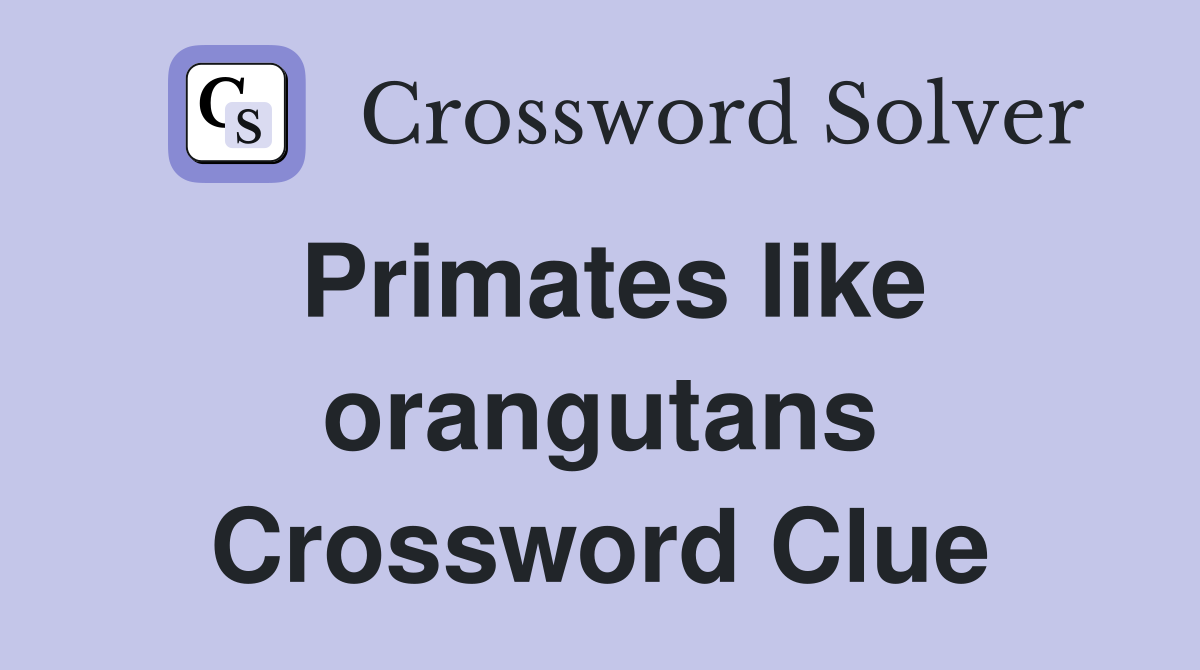 Primates like orangutans Crossword Clue