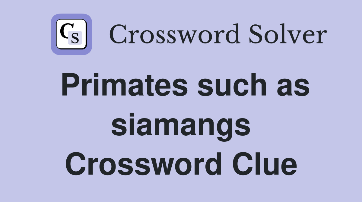 Primates such as siamangs Crossword Clue
