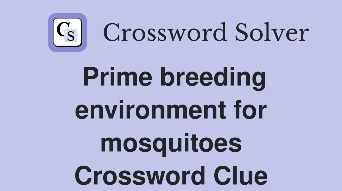 Prime breeding environment for mosquitoes Crossword Clue