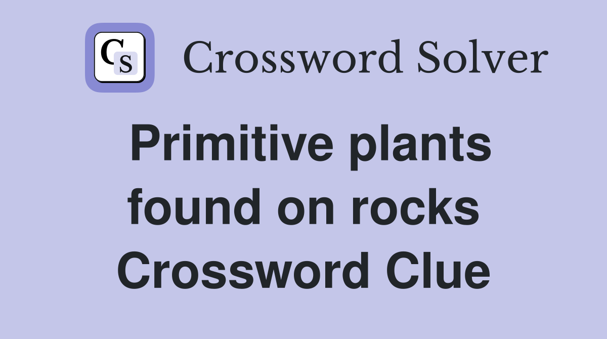 Primitive plants found on rocks Crossword Clue