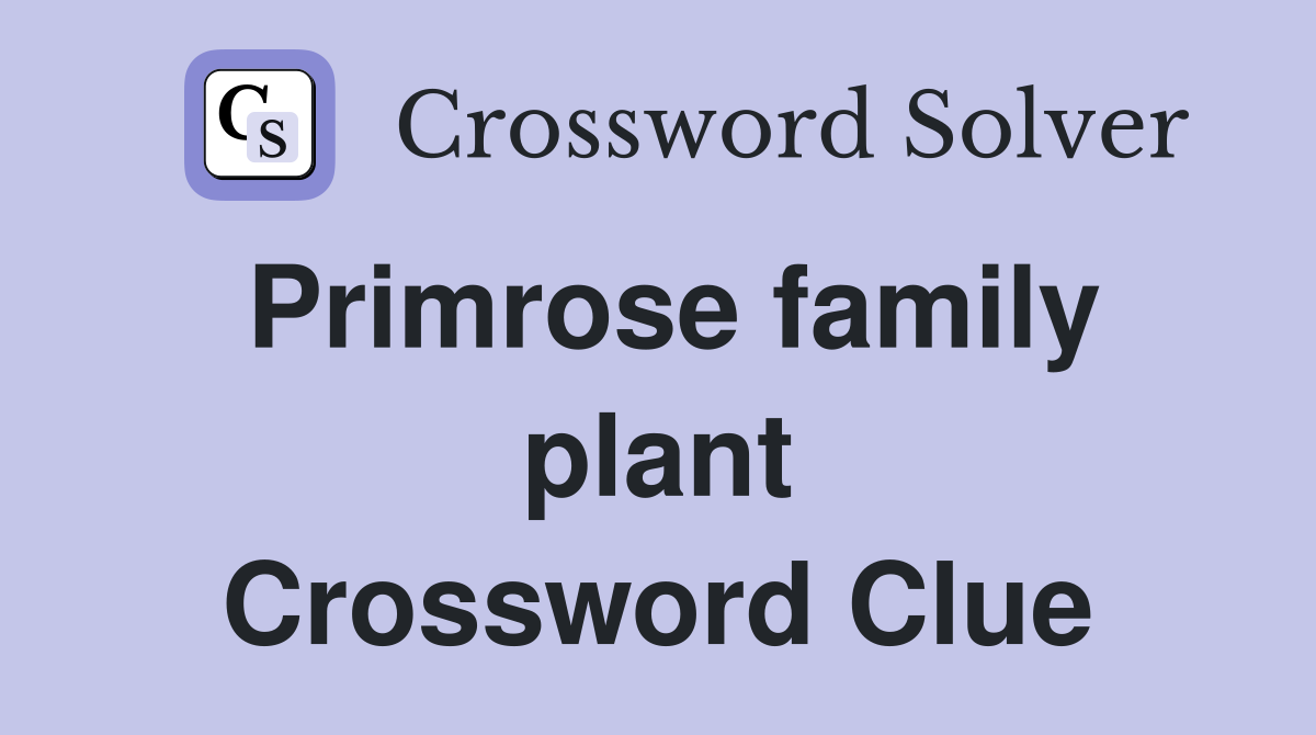 Primrose family plant Crossword Clue