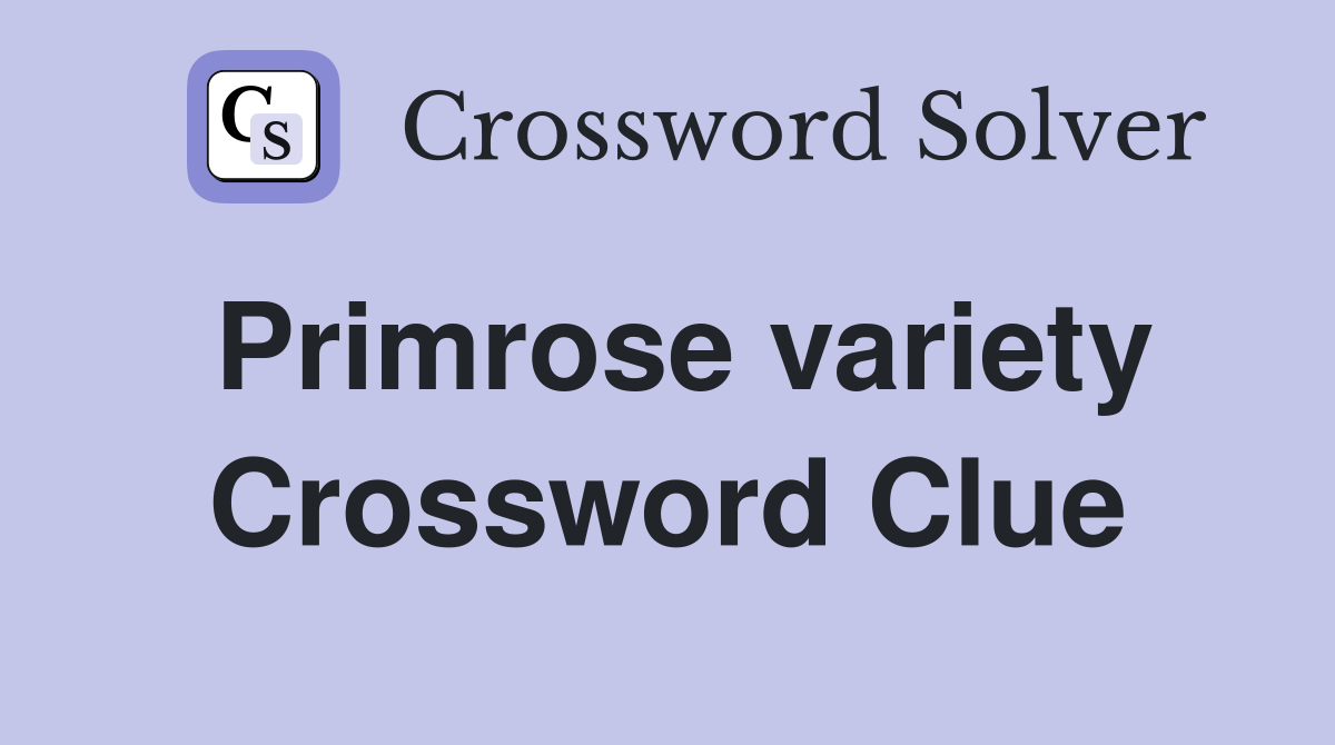 Primrose variety Crossword Clue