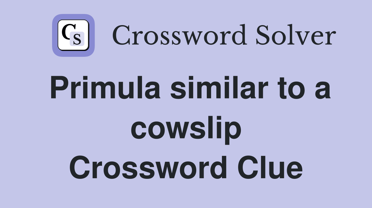 Primula similar to a cowslip Crossword Clue