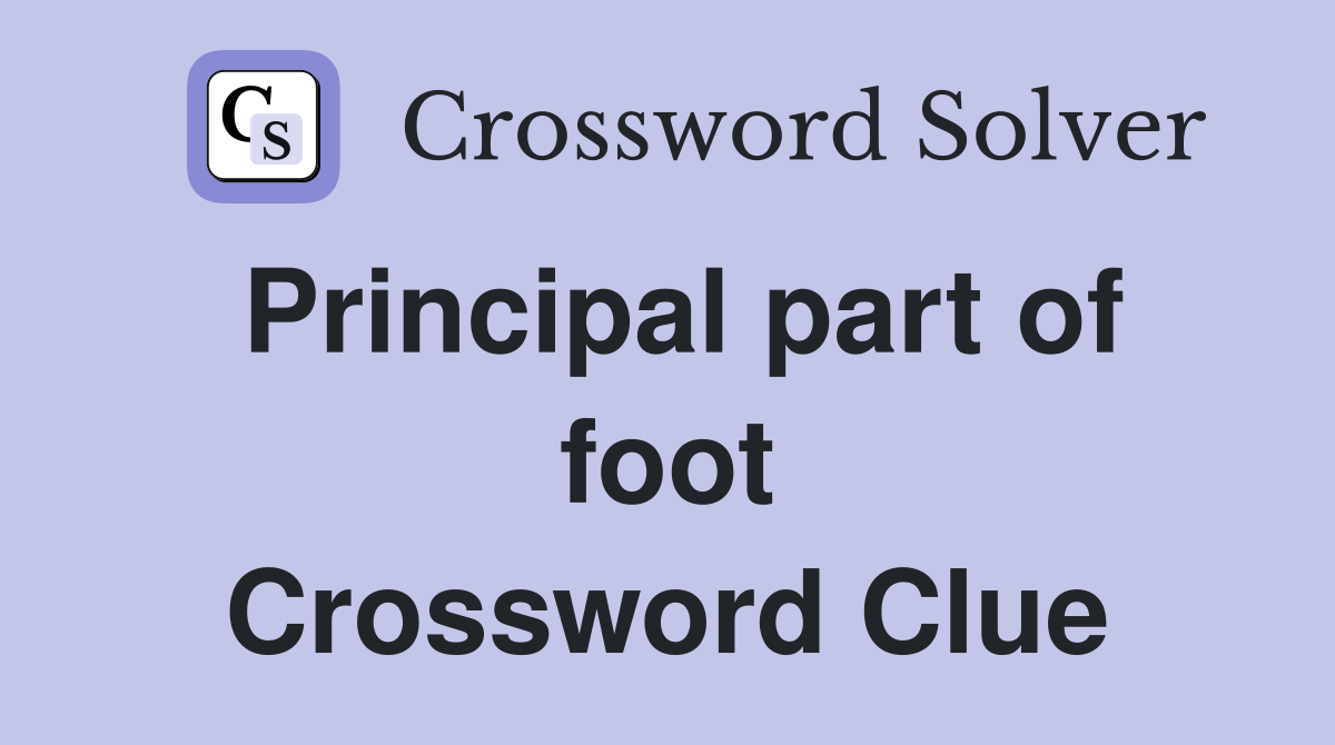 Principal part of foot Crossword Clue