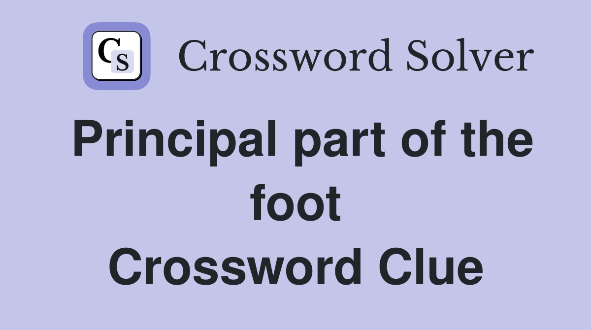 Principal part of the foot Crossword Clue