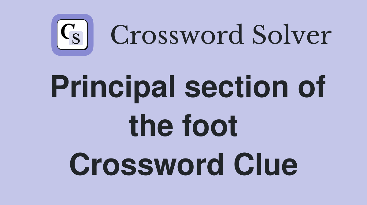 Principal section of the foot Crossword Clue