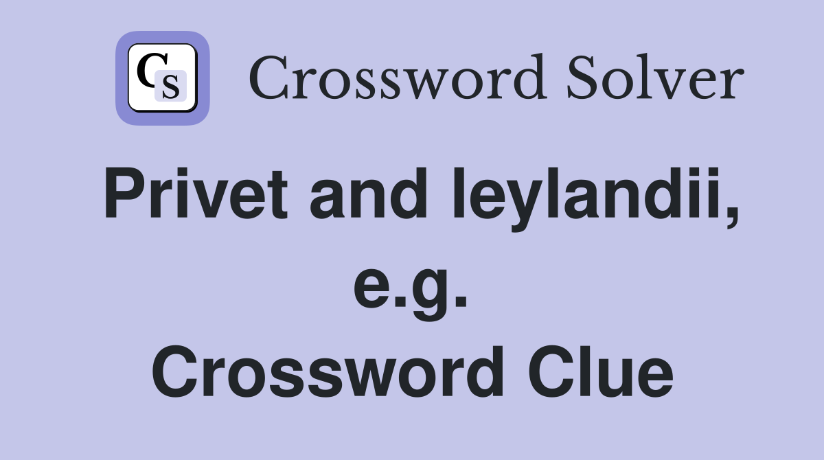 Privet and leylandii, e.g. Crossword Clue