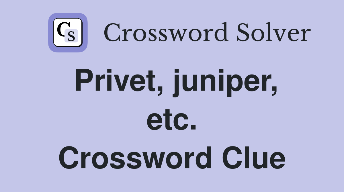 Privet, juniper, etc. Crossword Clue