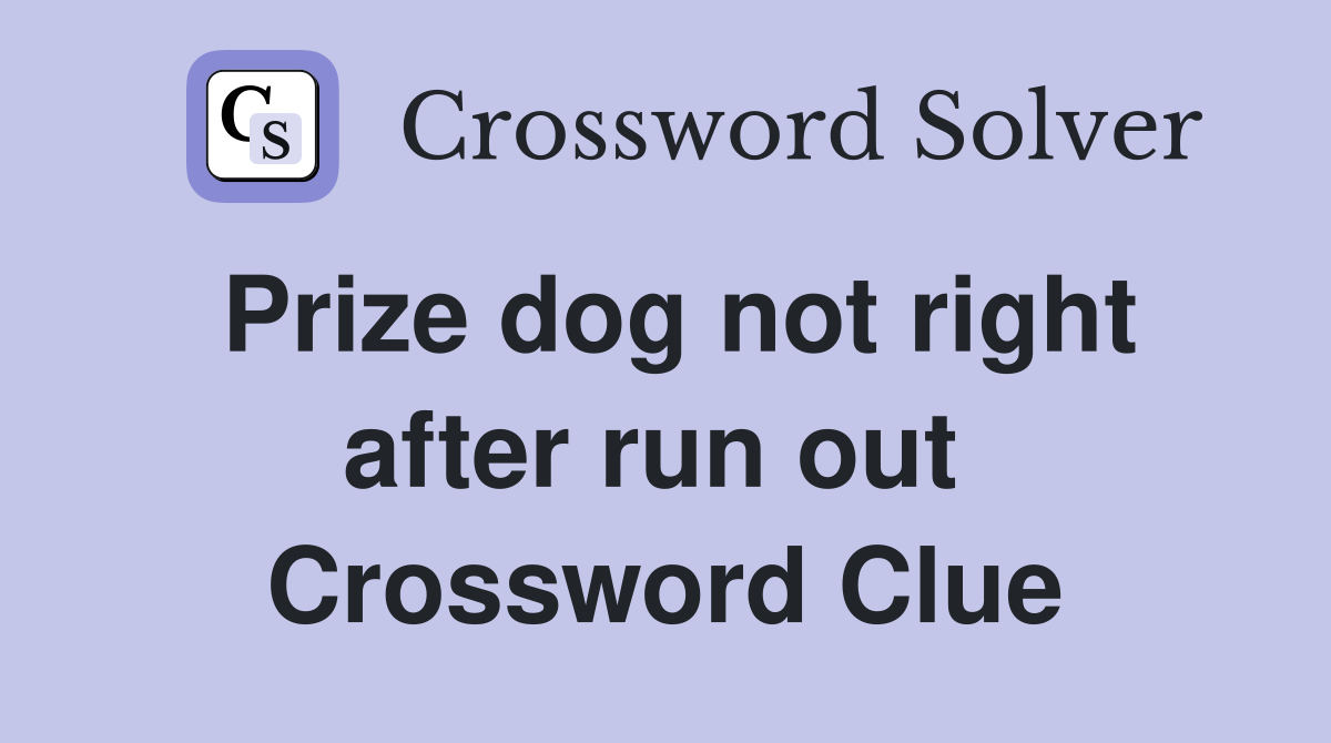 Prize dog not right after run out  Crossword Clue