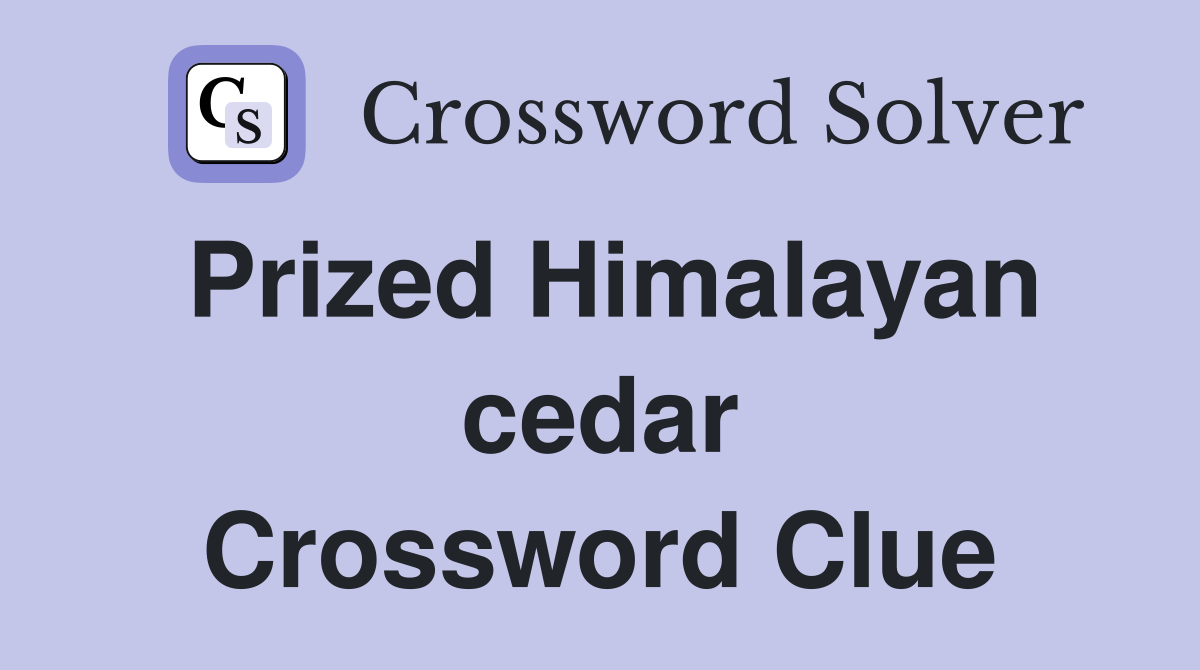Prized Himalayan cedar Crossword Clue