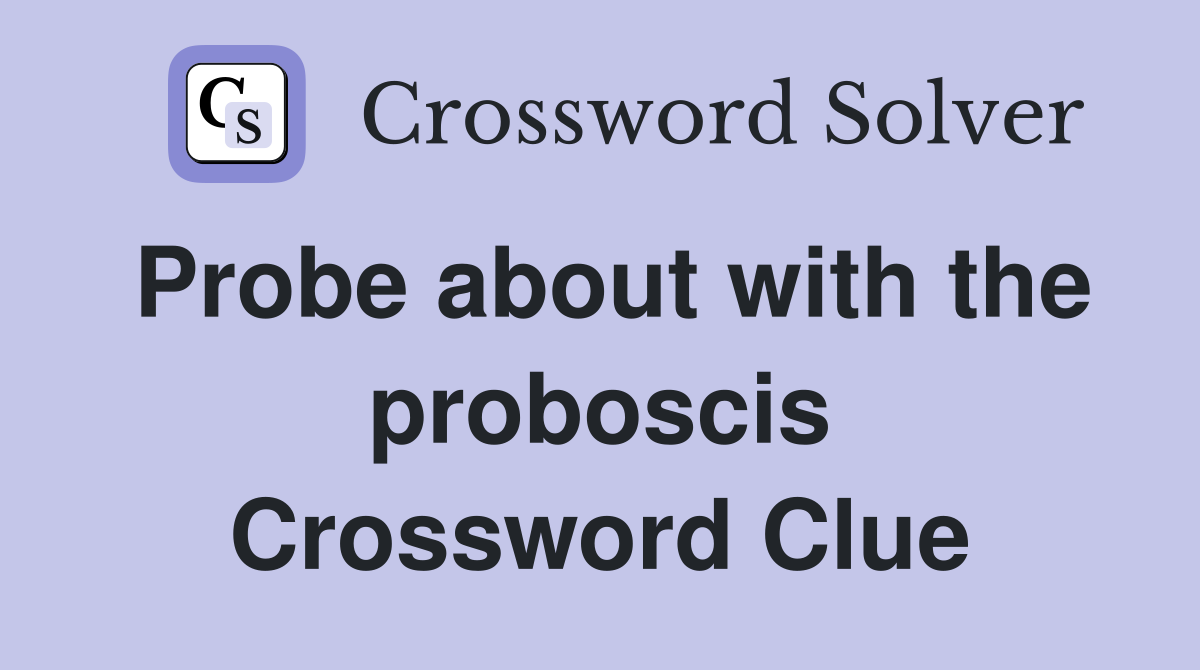 Probe about with the proboscis Crossword Clue
