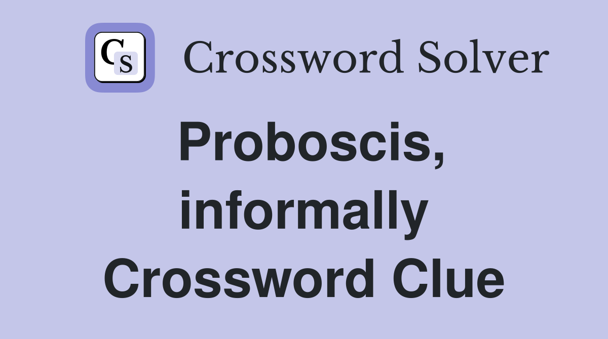 Proboscis, informally Crossword Clue