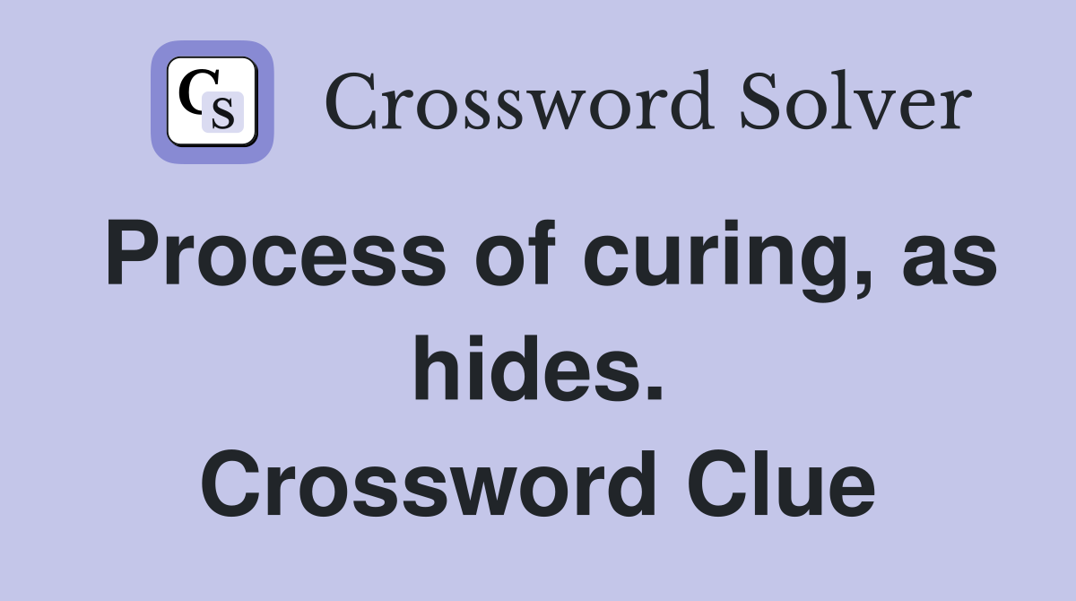 Process of curing, as hides. Crossword Clue