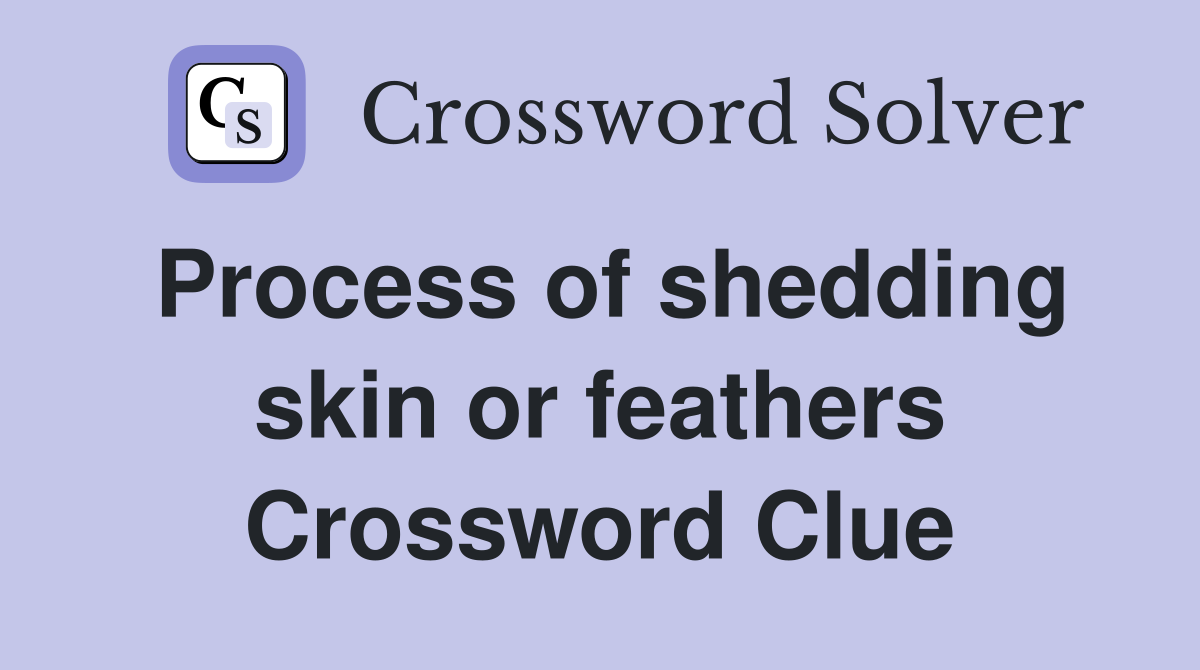 Process of shedding skin or feathers Crossword Clue