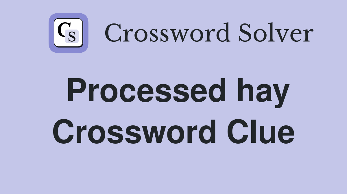 Processed hay Crossword Clue