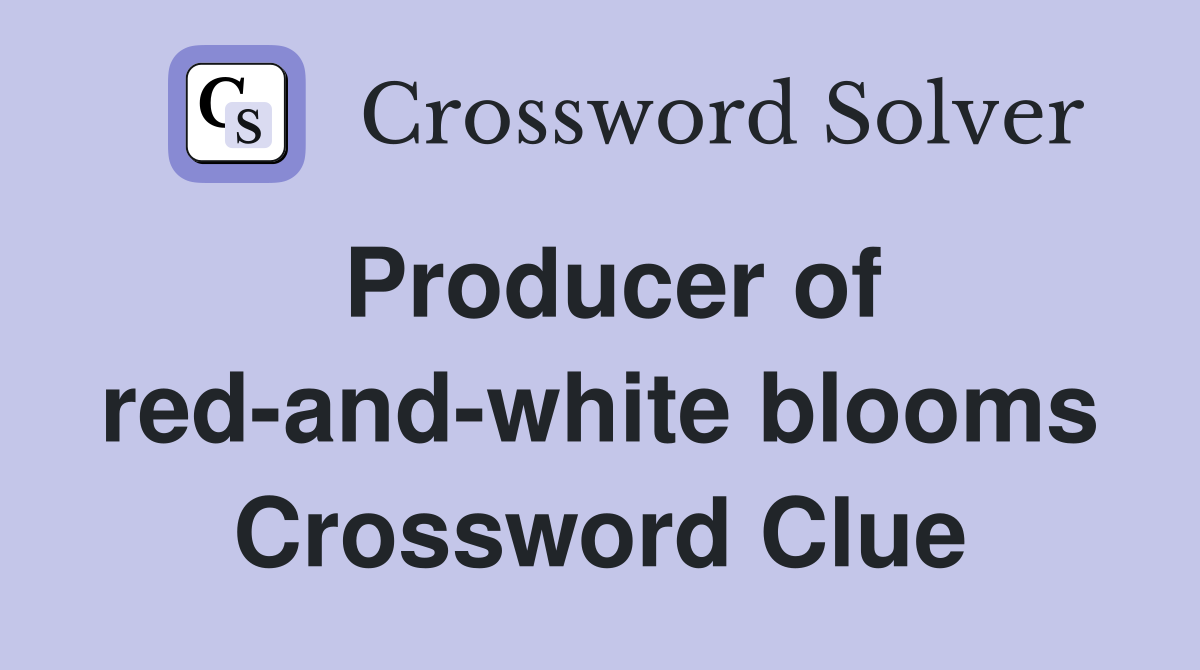 Producer of red-and-white blooms Crossword Clue