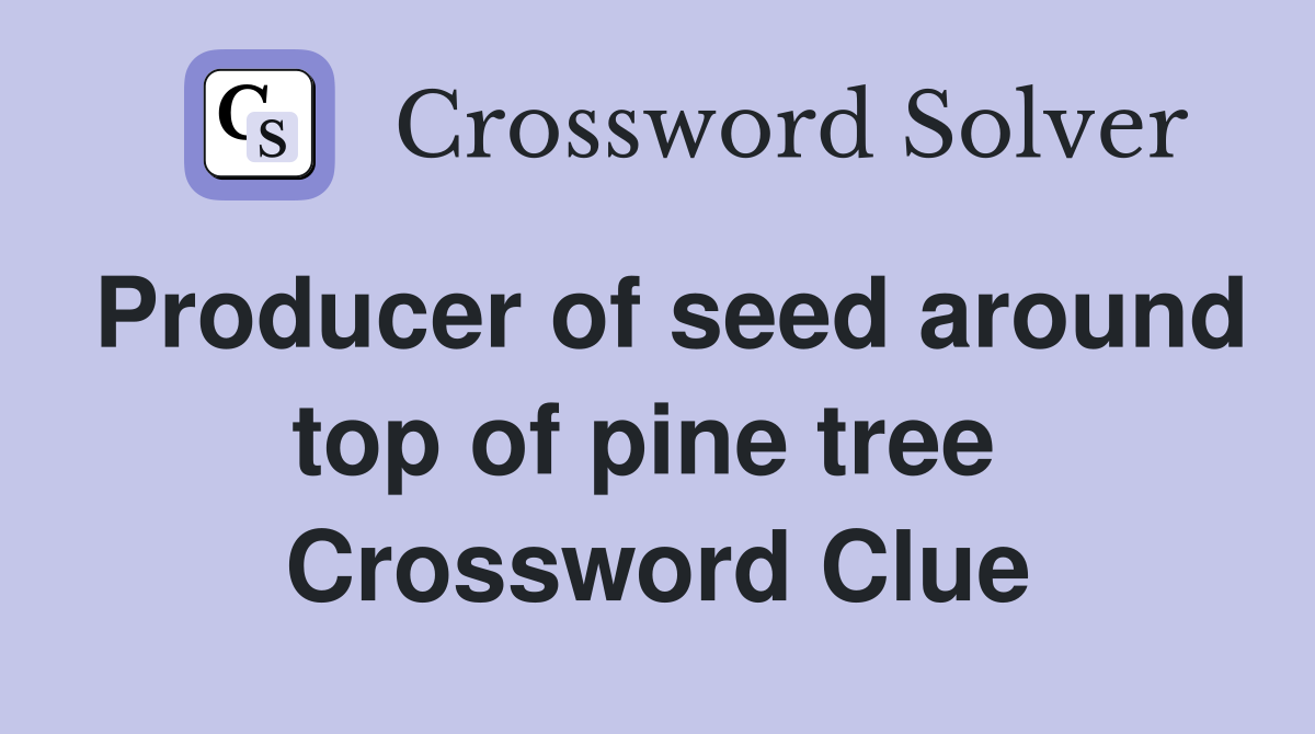 Producer of seed around top of pine tree  Crossword Clue