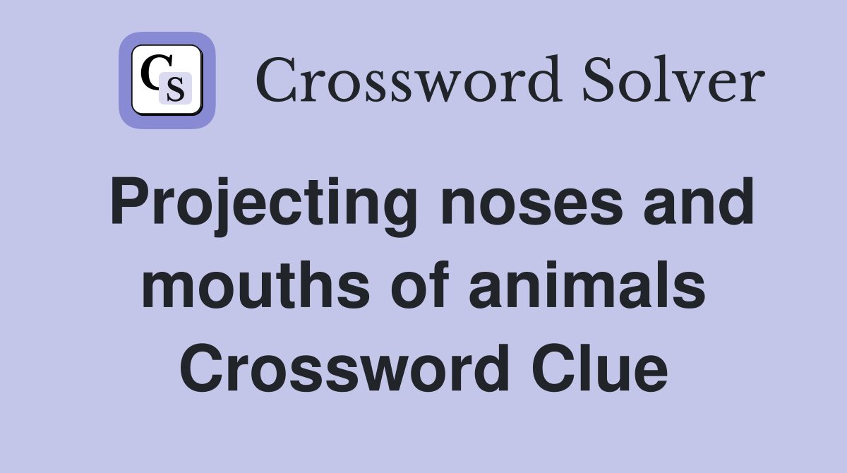 Projecting noses and mouths of animals Crossword Clue