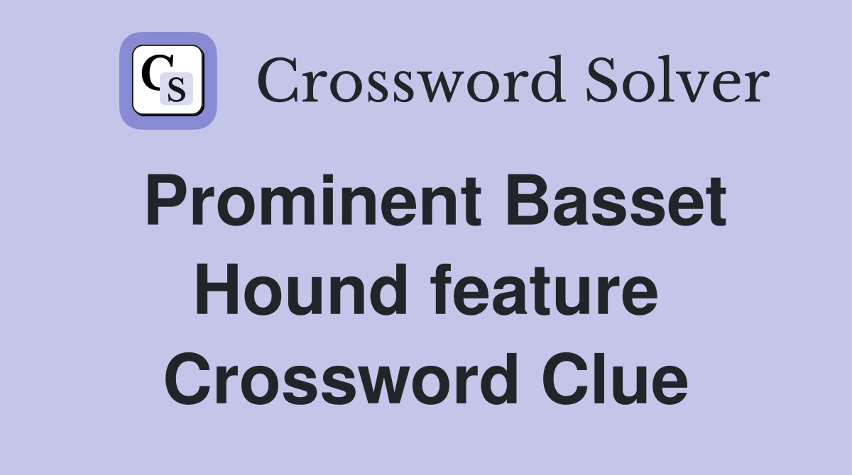 Prominent Basset Hound feature Crossword Clue