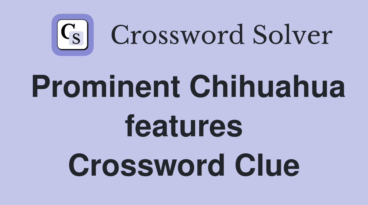 Prominent Chihuahua features Crossword Clue