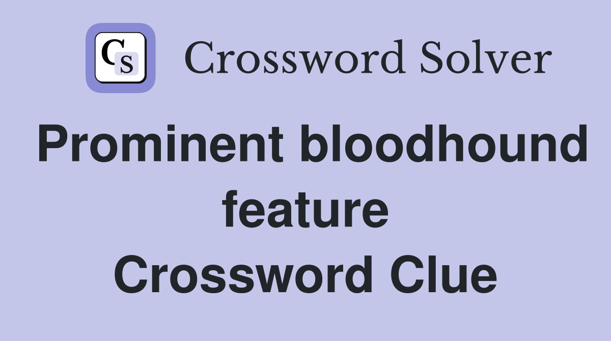 Prominent bloodhound feature Crossword Clue