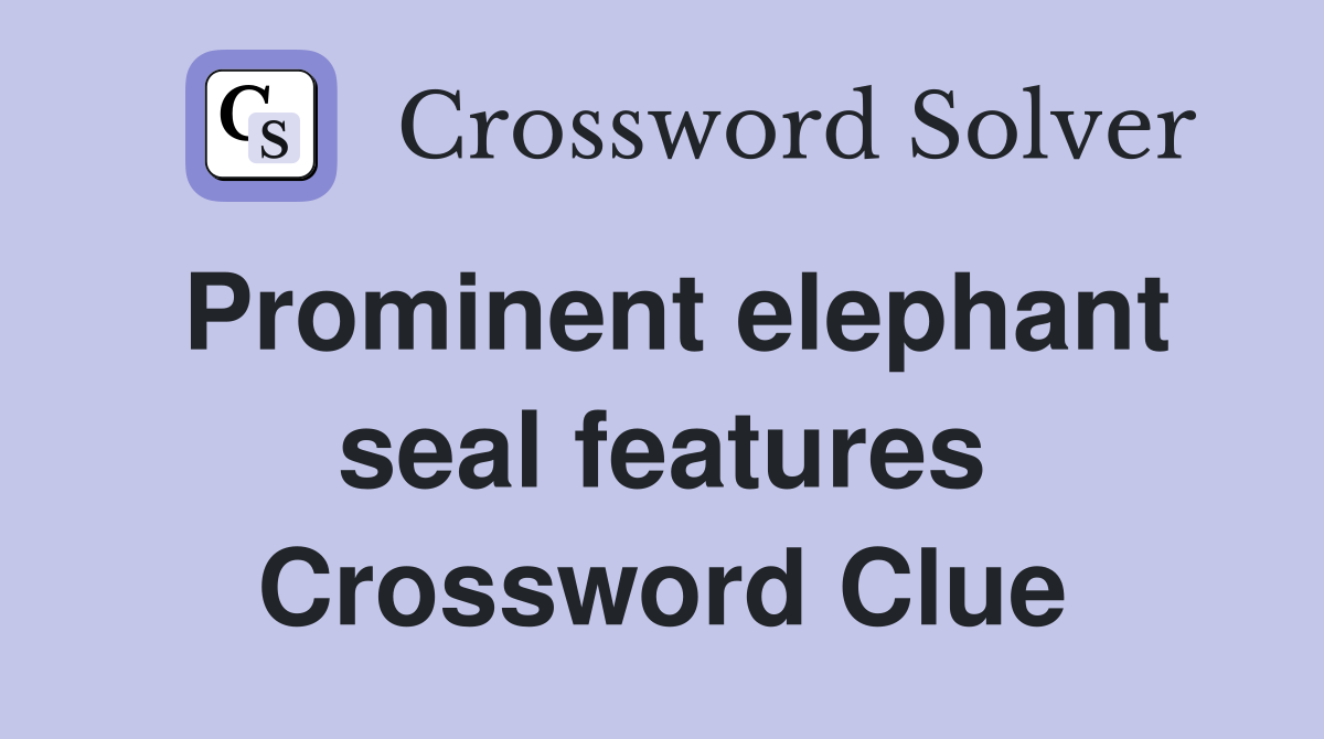 Prominent elephant seal features Crossword Clue