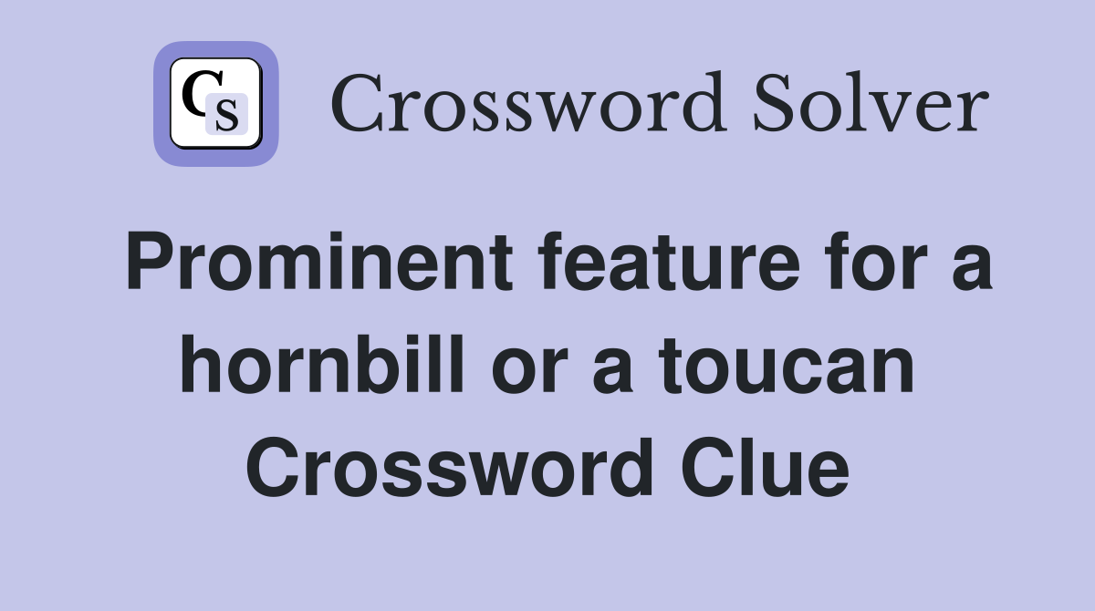 Prominent feature for a hornbill or a toucan Crossword Clue