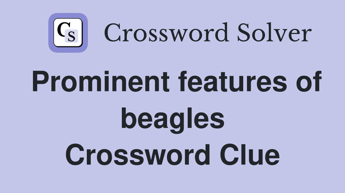 Prominent features of beagles Crossword Clue