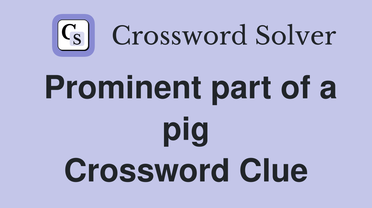 Prominent part of a pig Crossword Clue