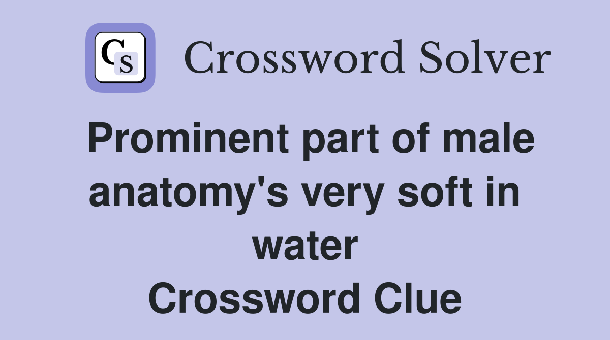 Prominent part of male anatomy's very soft in water Crossword Clue