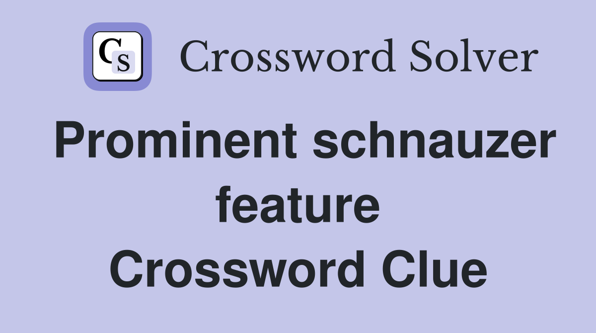 Prominent schnauzer feature Crossword Clue