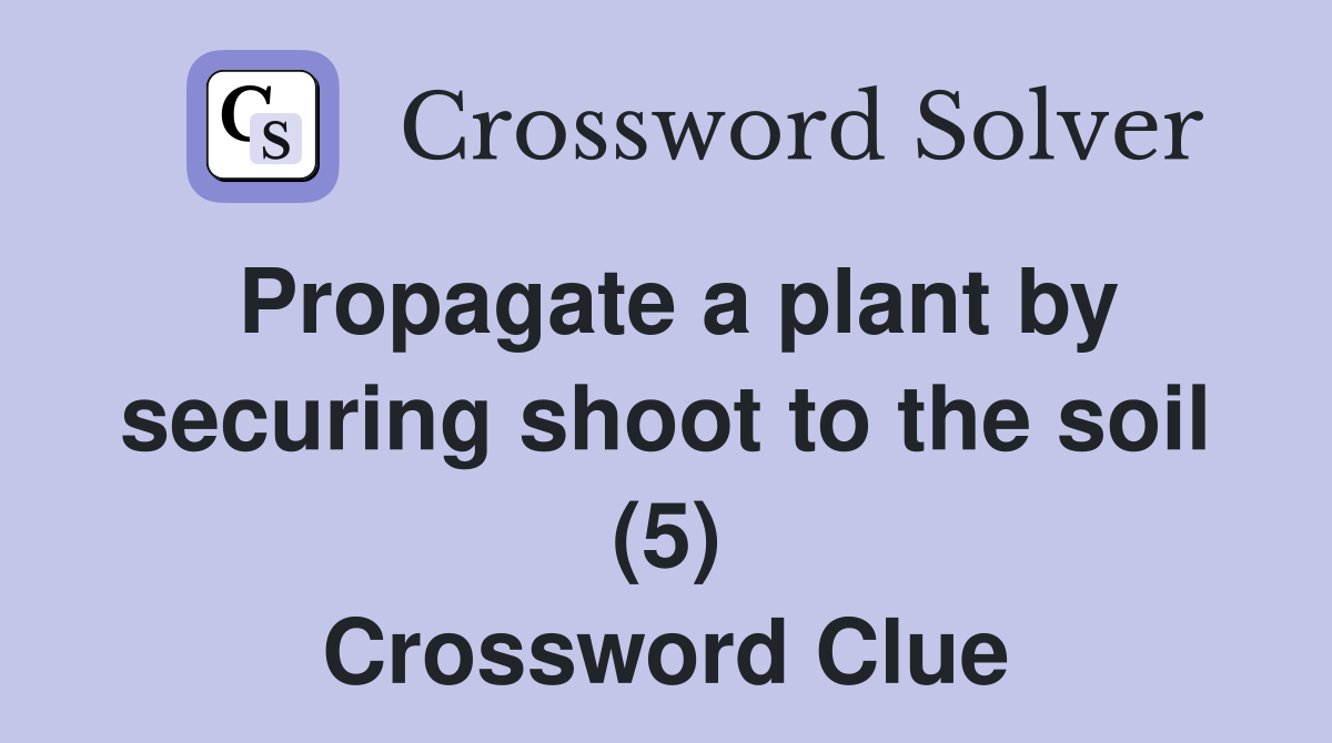 Propagate a plant by securing shoot to the soil (5) Crossword Clue