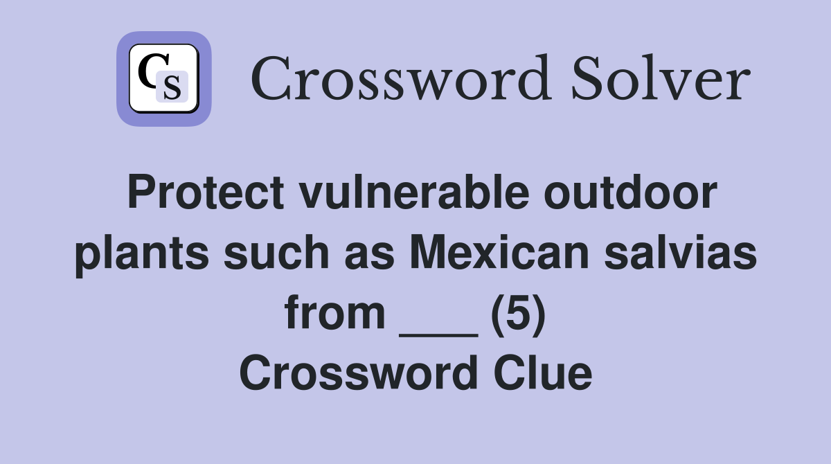 Protect vulnerable outdoor plants such as Mexican salvias from ___ (5) Crossword Clue