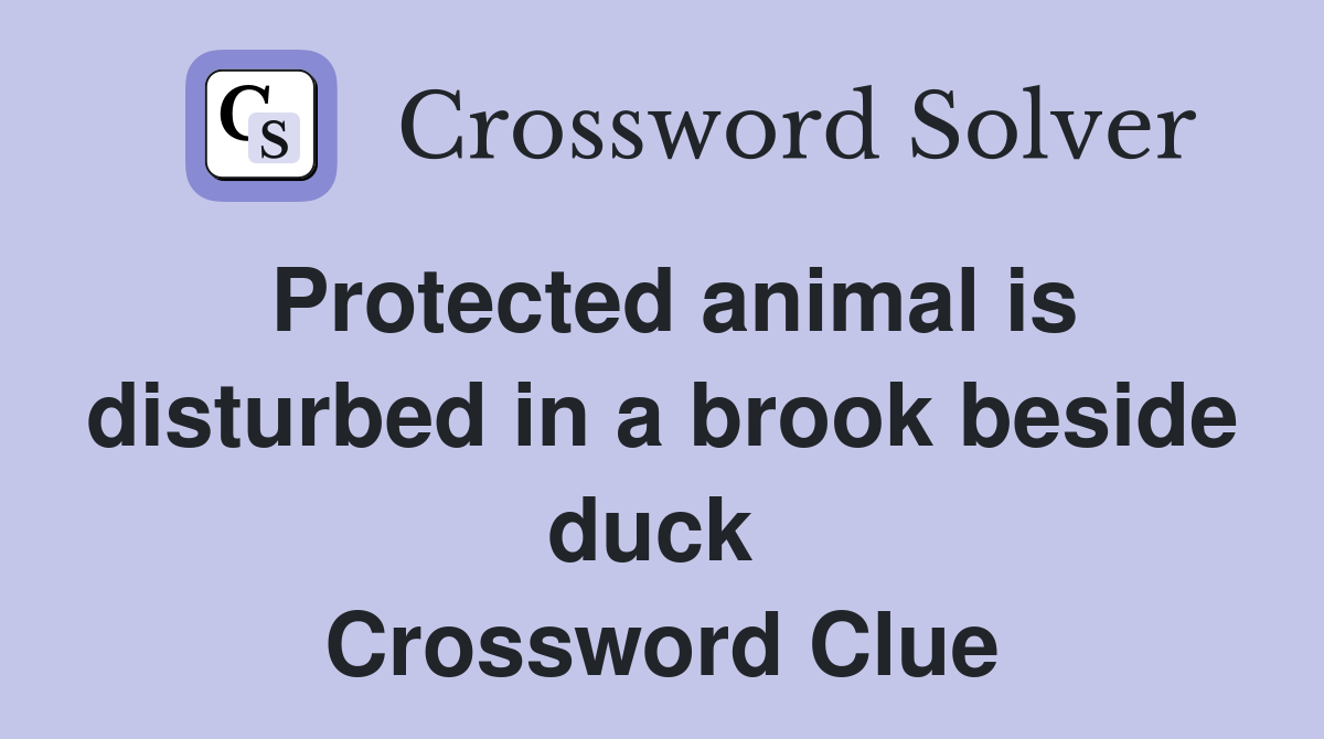 Protected animal is disturbed in a brook beside duck  Crossword Clue