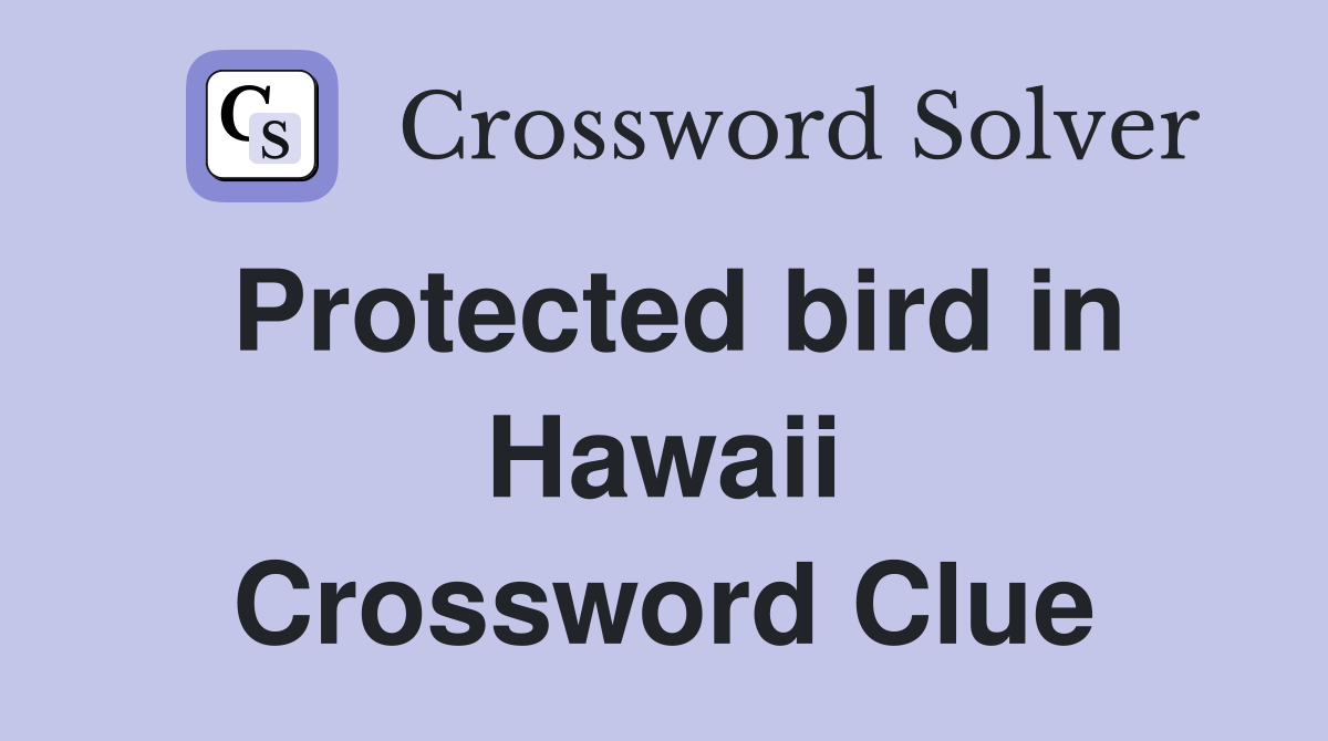 Protected bird in Hawaii Crossword Clue